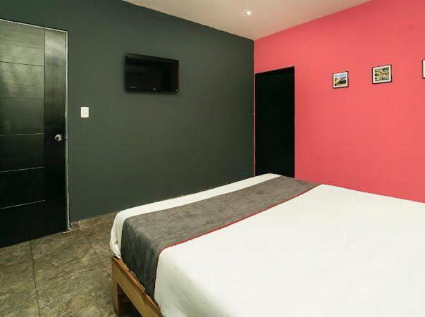 Adhoc Plaza 호텔 몬테레이 외부 사진